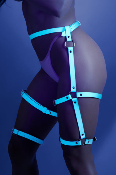 BUCKLE UP LEG HARNESS